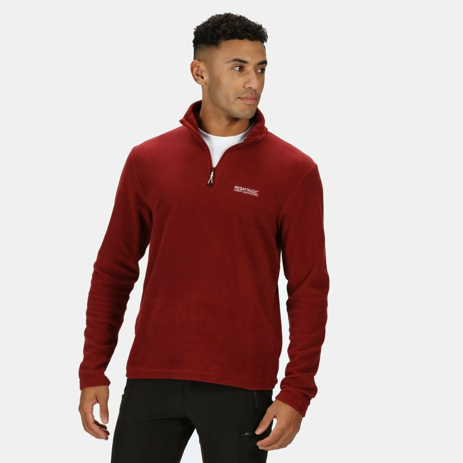 Regatta Mens Thompson Half Zip Light Micro Fleece | Alternative Colours