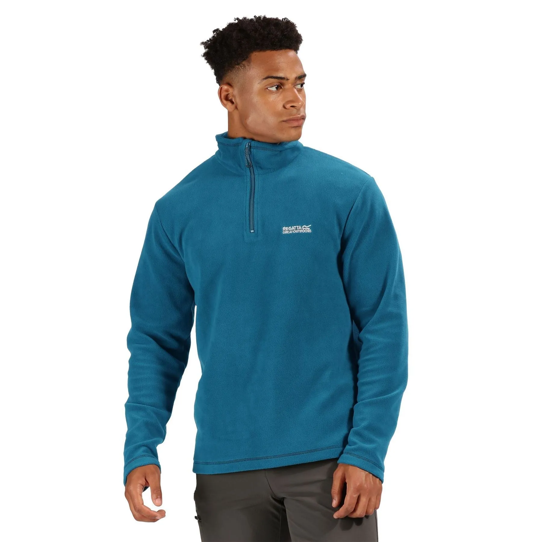 Regatta Mens Thompson Half Zip Light Micro Fleece | Alternative Colours