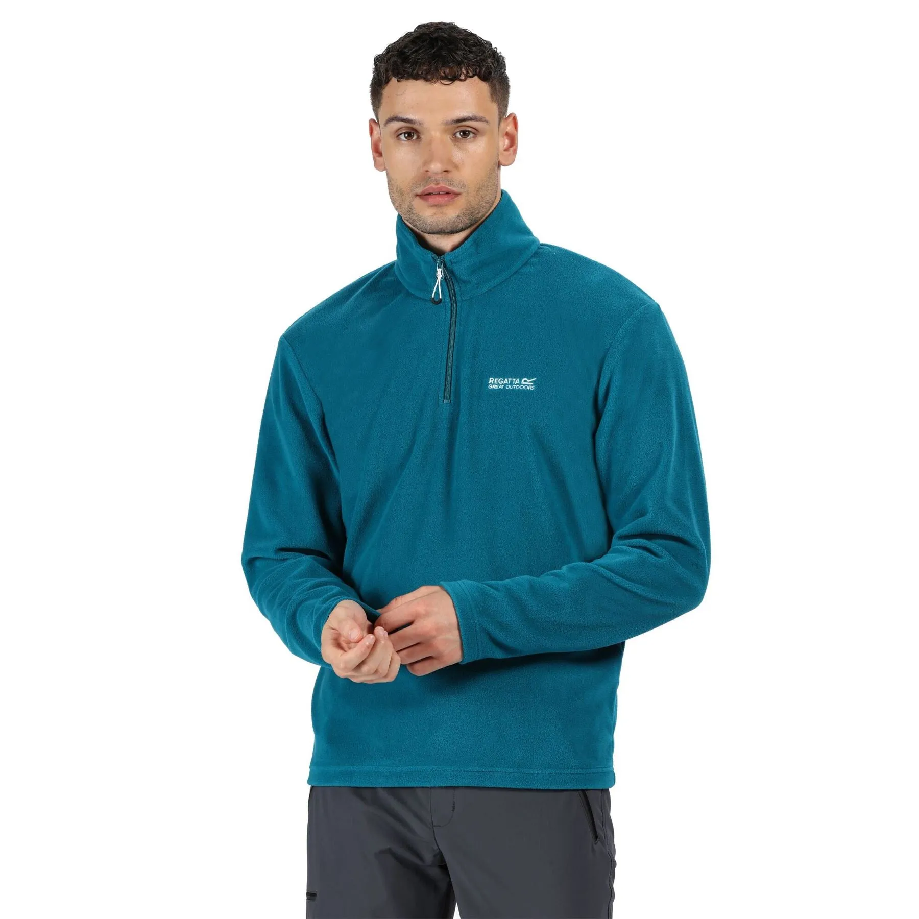 Regatta Mens Thompson Half Zip Light Micro Fleece | Alternative Colours